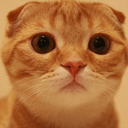 苹果手机2023ins爬墙